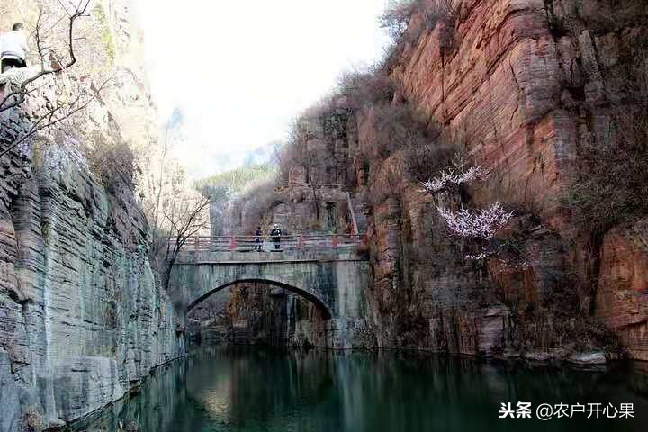 脱贫致富从几年开始的变化,中国是如何脱贫致富的