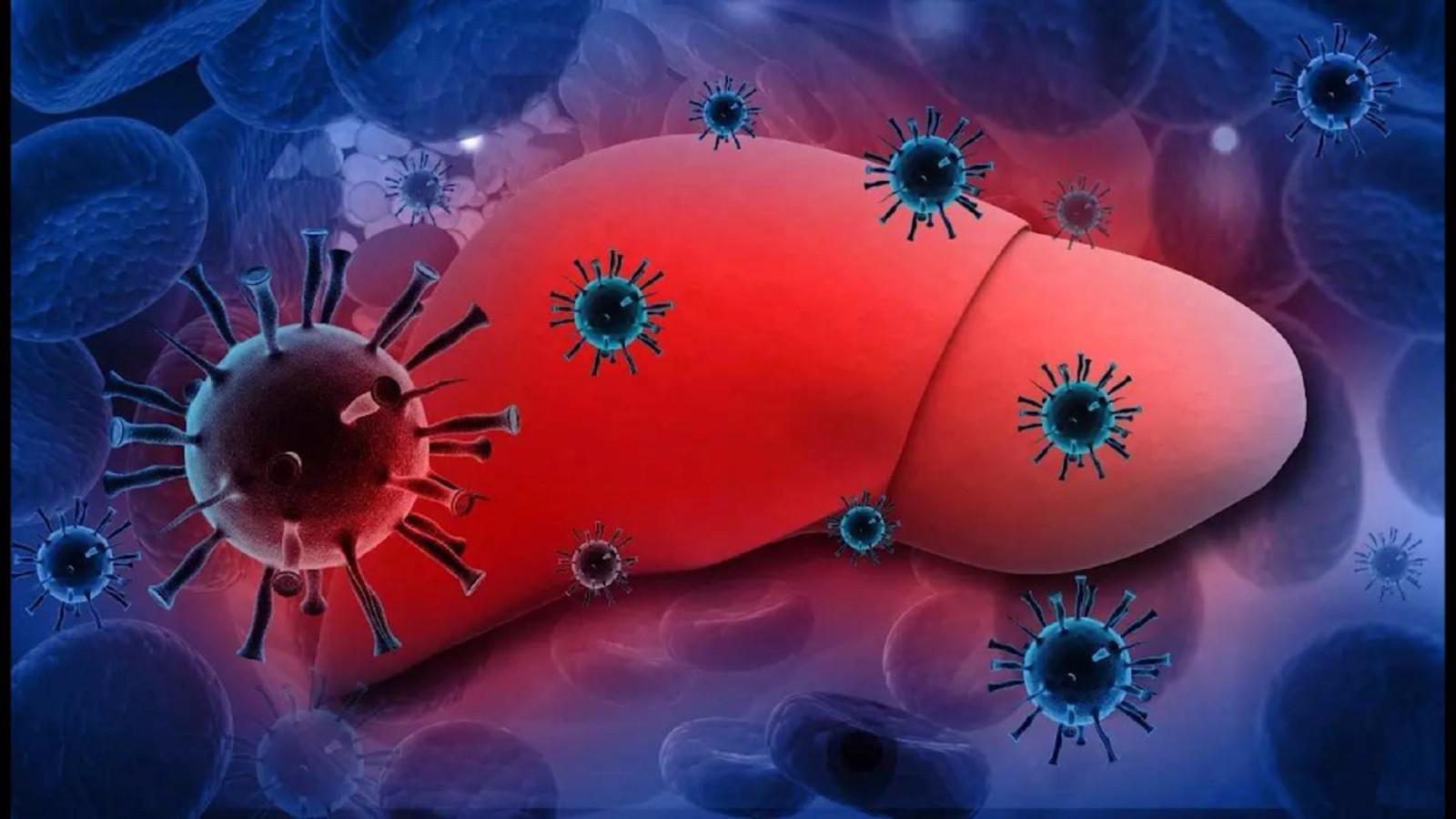 埃博拉病毒有多恐怖死了多少人,埃博拉病毒所致疾病