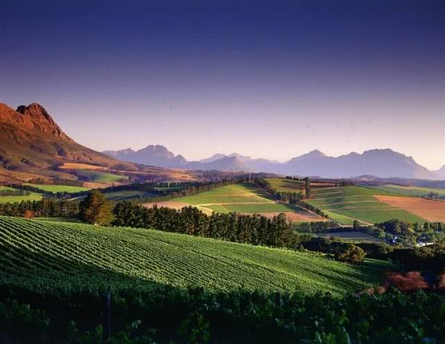 82年拉菲为什么现在还买不完,还越来越多?