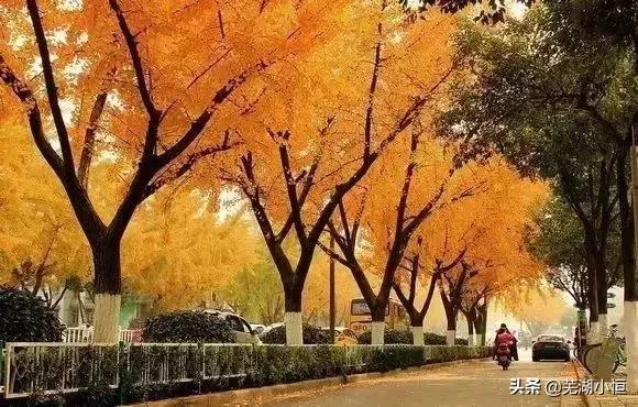 芜湖美丽的风景,芜湖最美地方