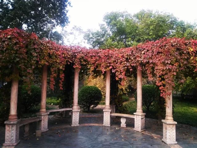 石家庄铁道大学巅峰时期,石家庄铁道大学九十年代