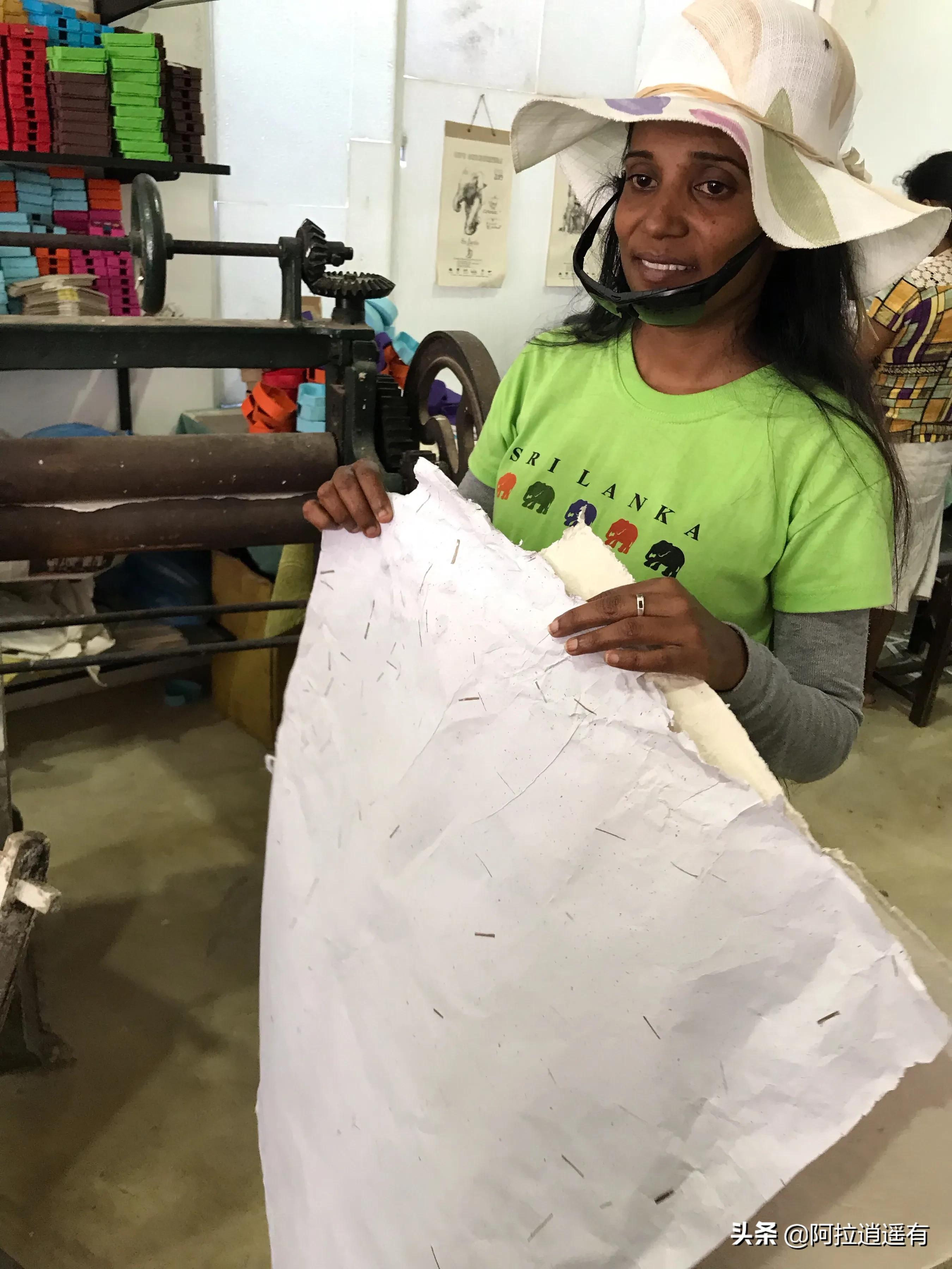 斯里兰卡大象粪便做纸,斯里兰卡大象粪便纸