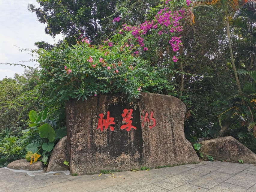 东莞长安周边一日游景点大全,东莞松山湖一日游最佳攻略