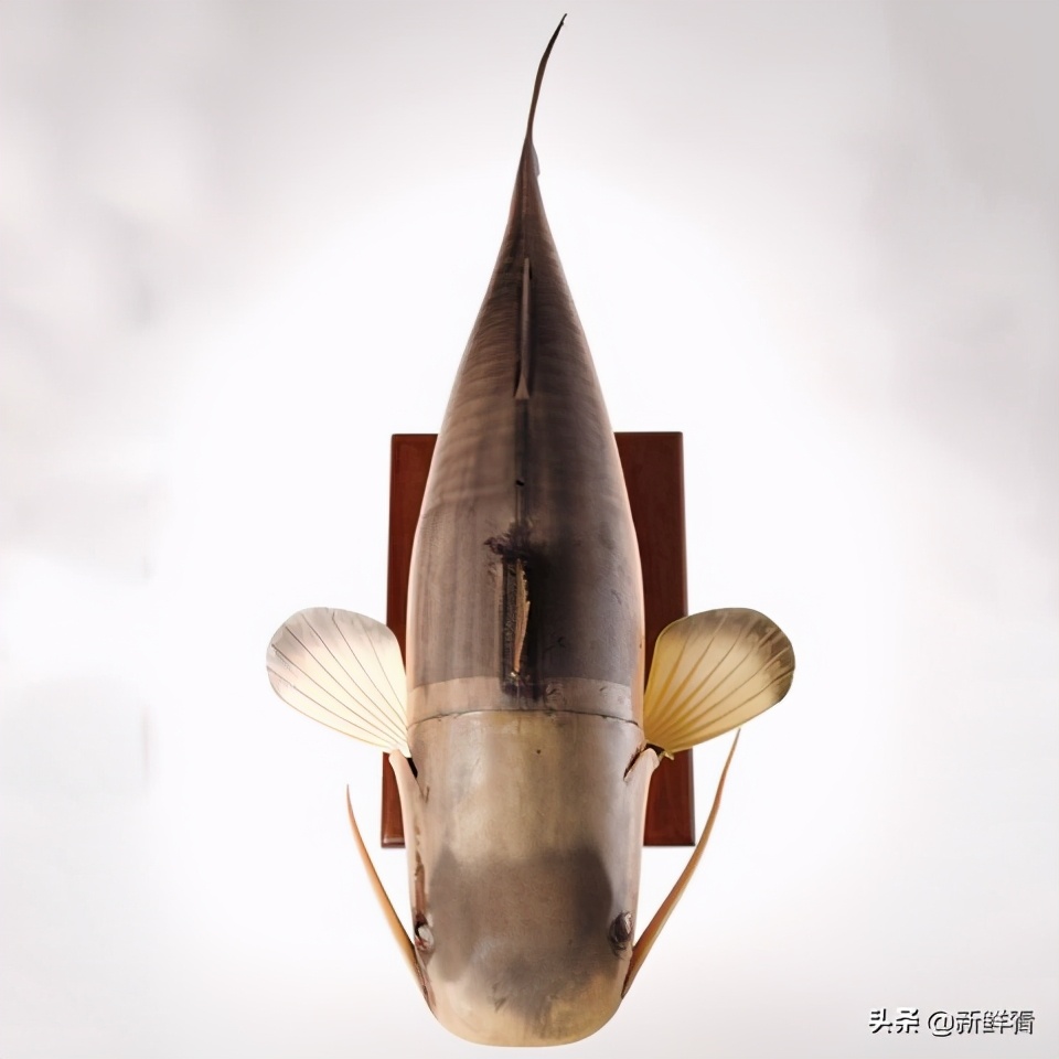 1974年美国如何用“蜻蜓”*听窃**，中情局CIA间谍器材解密