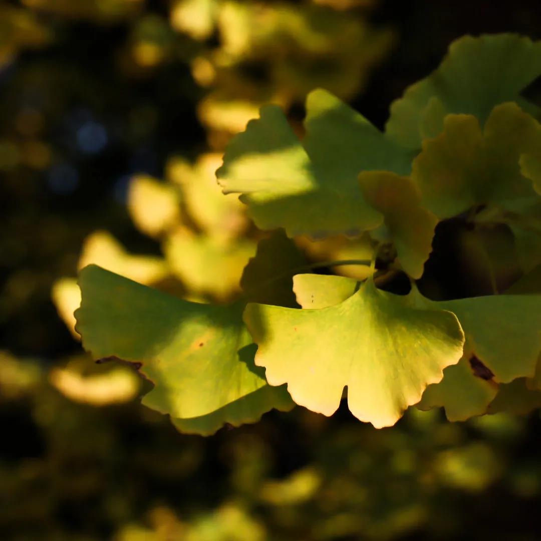 设计考研北航,北航设计学类怎么样
