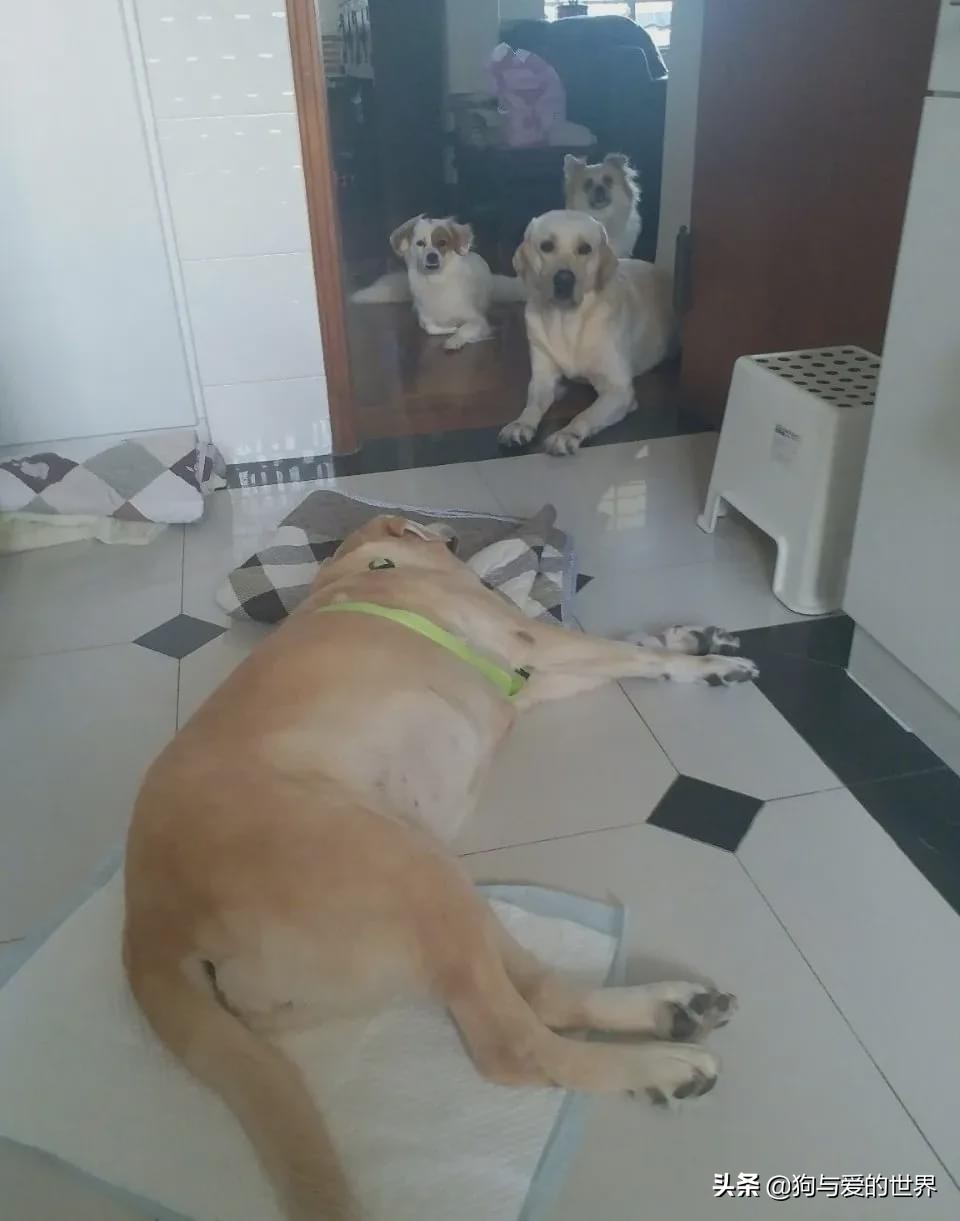 尔冬升怼哭郭敬明的时候 (尔冬升怼哭郭敬明是炒作吗)