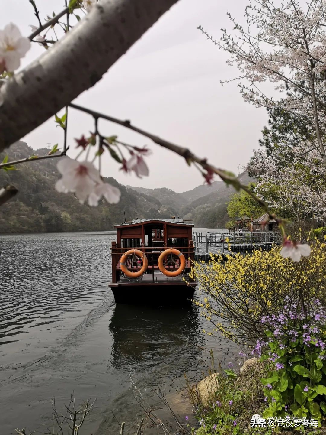 清凉寨樱花烂漫,清凉寨野景