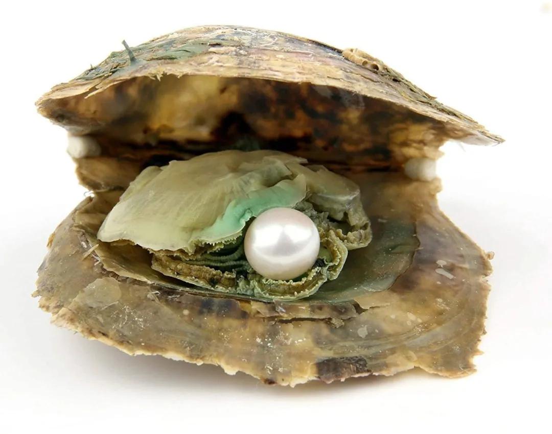 RR·TRENDS|这件人人都有的珠宝，原来有这么多隐藏知识