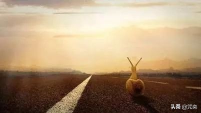 《乖,摸摸头》愿你我在各自的世界好好的