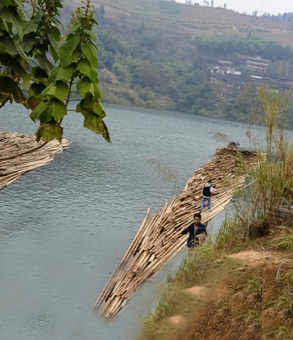 杨大学是什么电视剧的人物,杨大学是哪部电视剧中人物