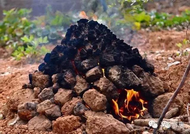 美丽的五华县,五华我可爱的家乡