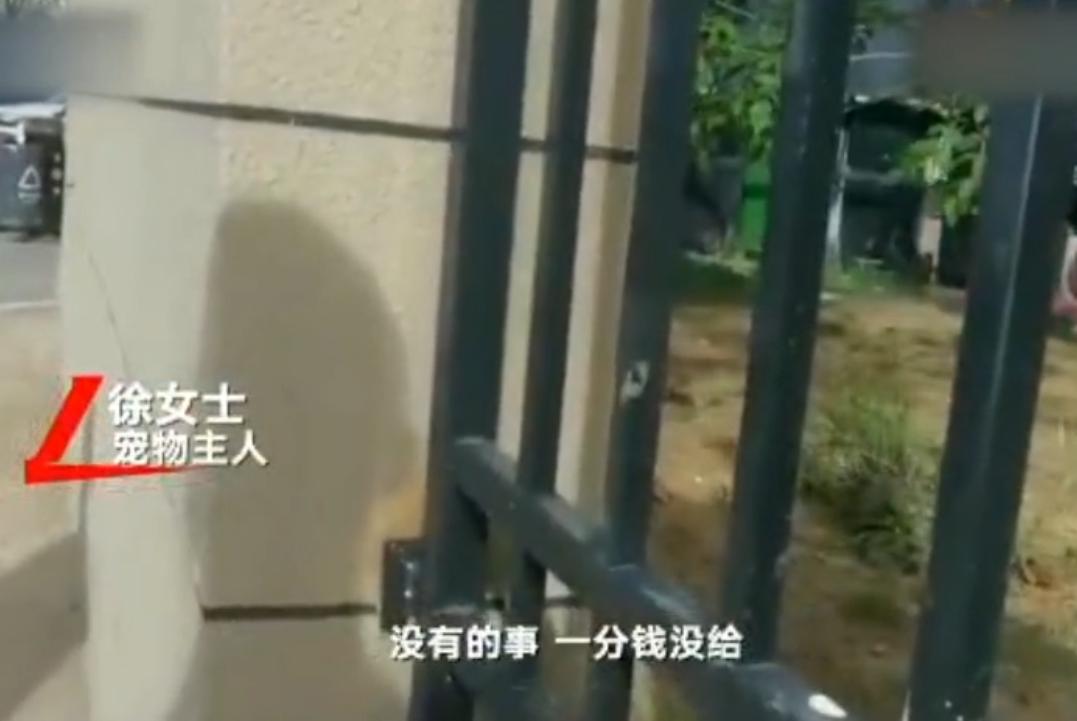 寻狗赠送北京一套房物业回应,寻狗赠房