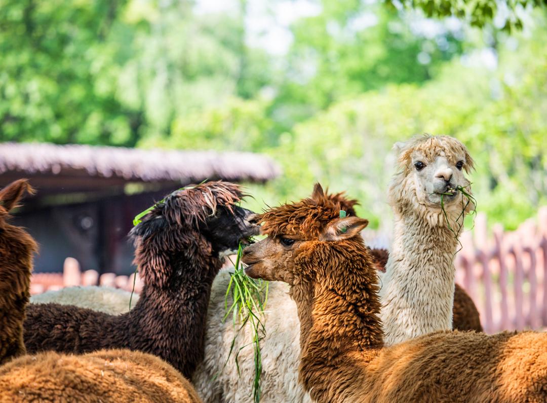 趣游南娱嗨翻天，你想玩的都在这里