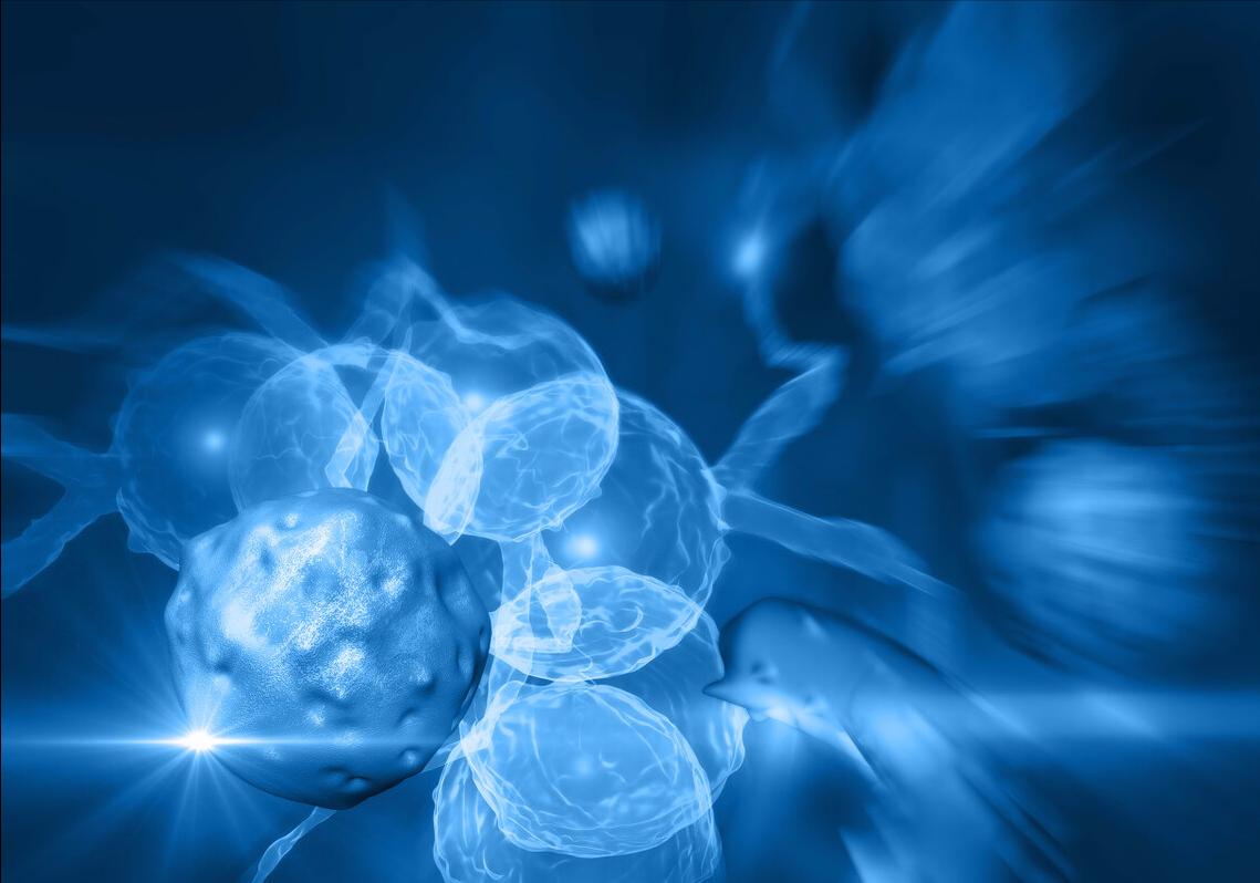 阿健要努力活着谈癌症早期症状,抗癌阿健是什么癌