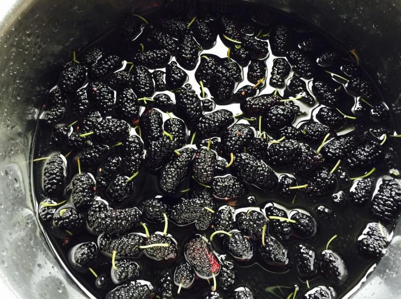 桑葚用水洗了直接泡酒怎么补救,桑葚弄到地上怎么洗掉