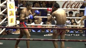 泰拳膝盖肘击的威力有多大,泰拳杀手最新视频