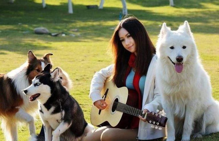 养狗必备用品比熊玩具,狗狗最爱的玩具球