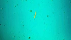 杩欐槸浣犳兂璞′腑鐨勬幢娴峰悧,浣犵湅鍒扮殑娲辨捣