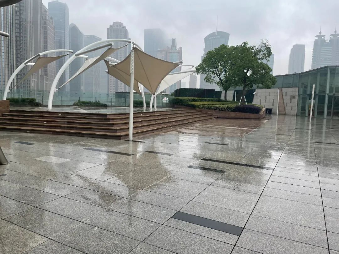 上海ifc国金中心销售额,实探上海楼市视频