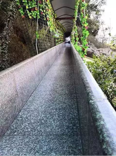 玉溪避暑住宿哪里最好,玉溪周边避暑哪个县城最凉快