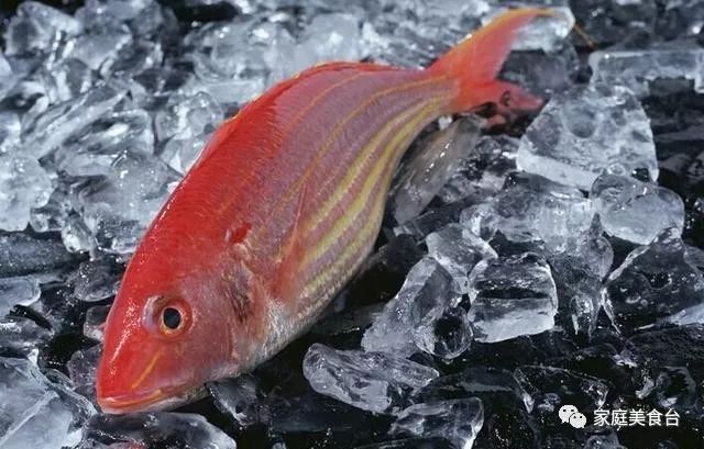 市场能买到的纯正海鱼有哪些,最便宜实惠的海鱼