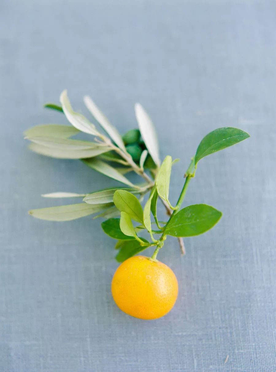 婚礼色彩风格,室内婚礼颜色搭配