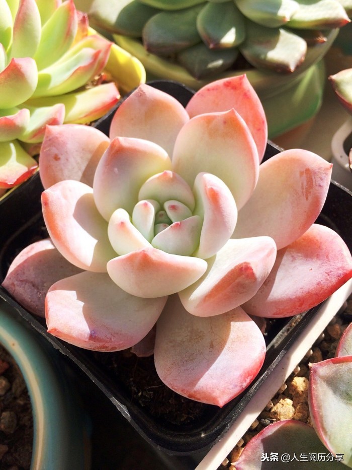 优秀的名言警句大全,特别有深刻意义的名言警句