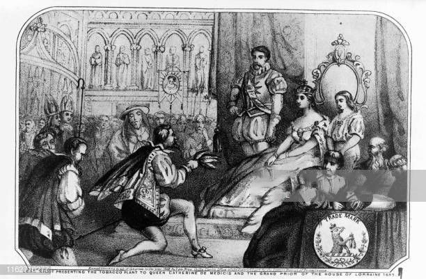 世界上最致命的草,全世界最可怕的十种致命植物