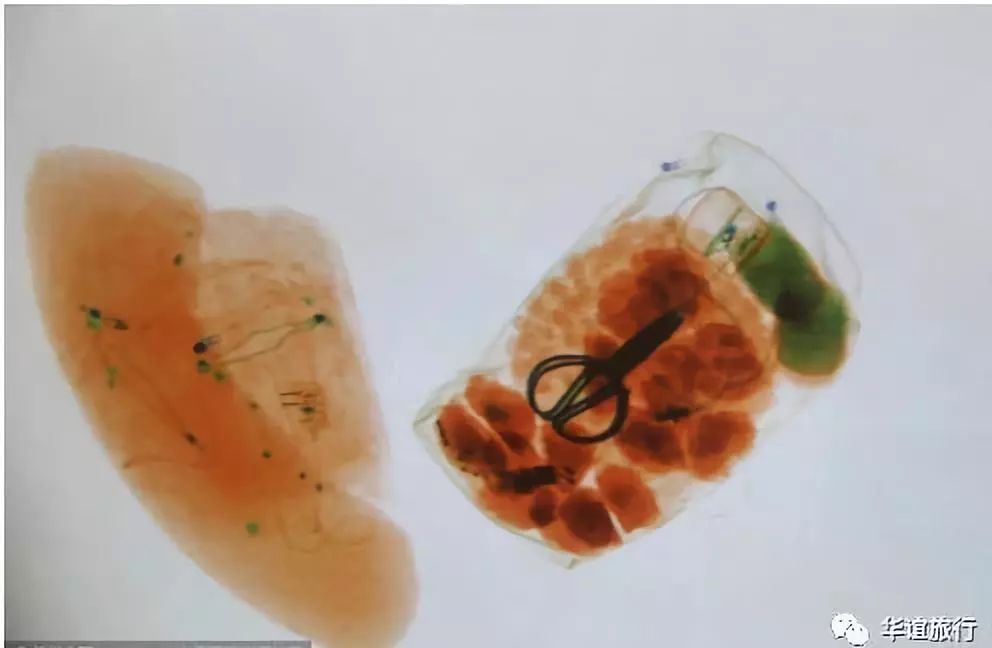 第一次坐飞机登机流程笔记,第一次坐飞机详细流程和行李