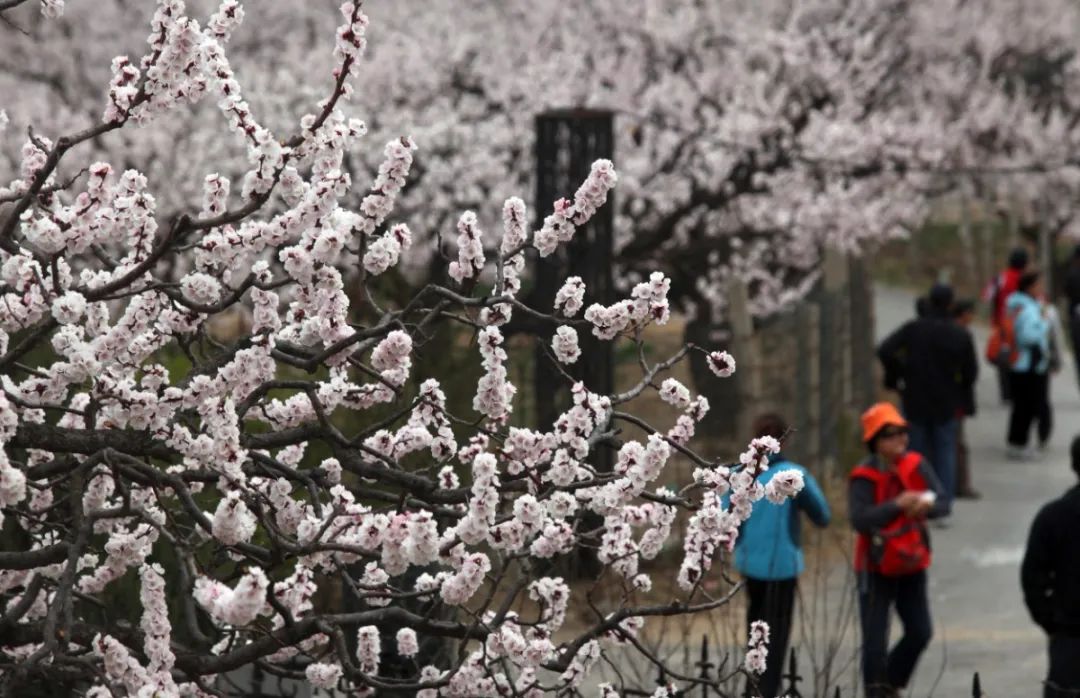 出行安全宝典,北京旅游安全攻略