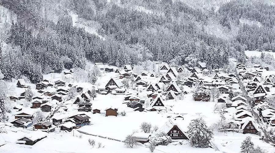 儿童画冬日街道风景,冬日里的树林儿童画