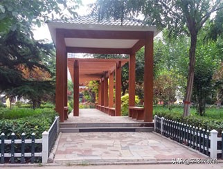 新乡市真“中”高中,每年几千人考上一本