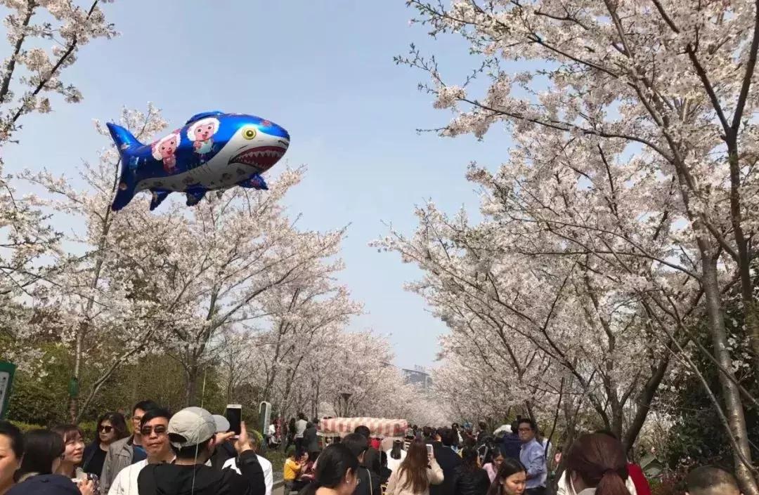 无锡遛娃户外免费,无锡惠山区遛娃好去处