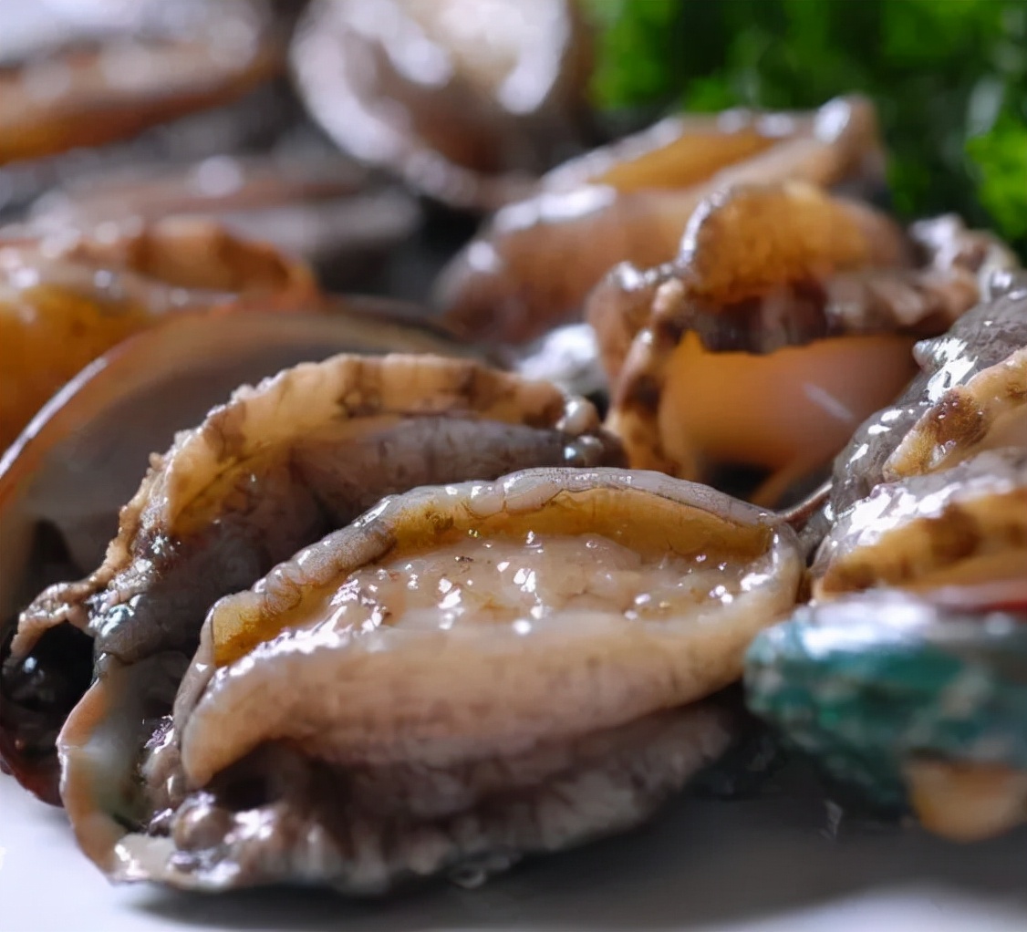 山东荣成鲍鱼,荣成鲍鱼越冬图