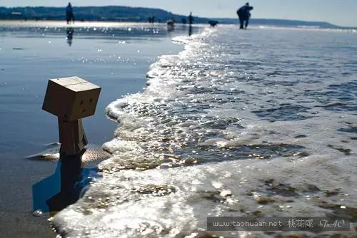 孩子贫穷的原生家庭,孩子穷真的不是因为母亲不努力