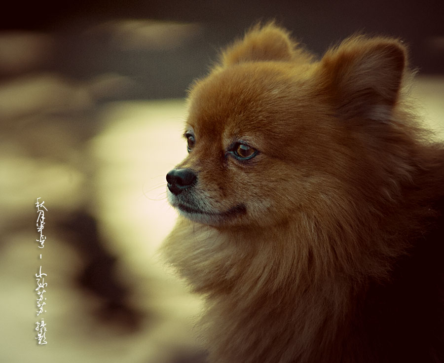 第9篇关于二手（这是个沉重而有趣的话题）