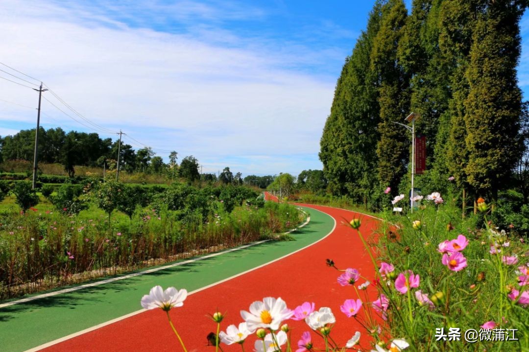 探访深山竹林倍感神清气爽,蒲江遥望雪山感受诗意栖居
