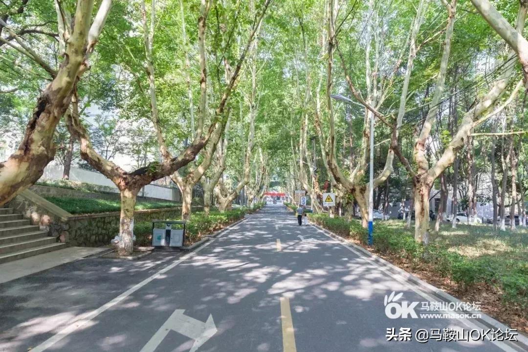 马鞍山怪坡现象,马鞍山灵异现象