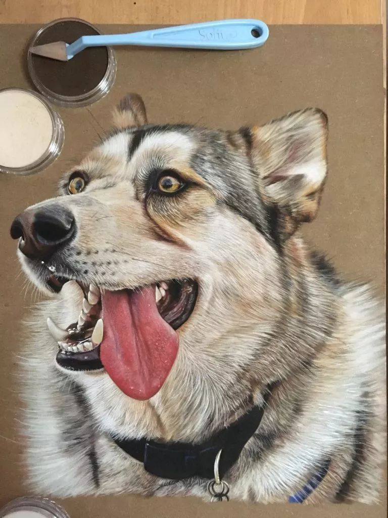 3d超写实彩铅画,超写实彩铅手绘细腻的让人咋舌