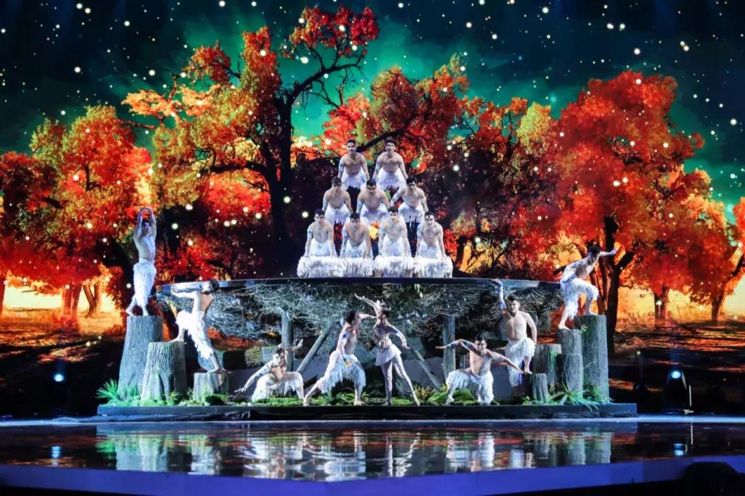 《巅峰之夜》:比顶级才艺更触动人心的,是跨越国界的共通情感