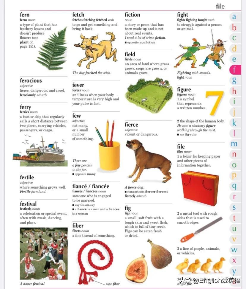 dk图书适合多大孩子,儿童英语字典图解