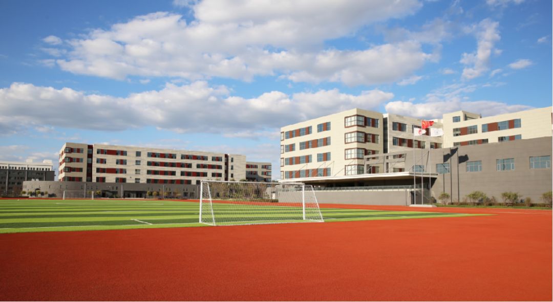 87、解放、新朝阳、力旺等名校咋选？数据说话