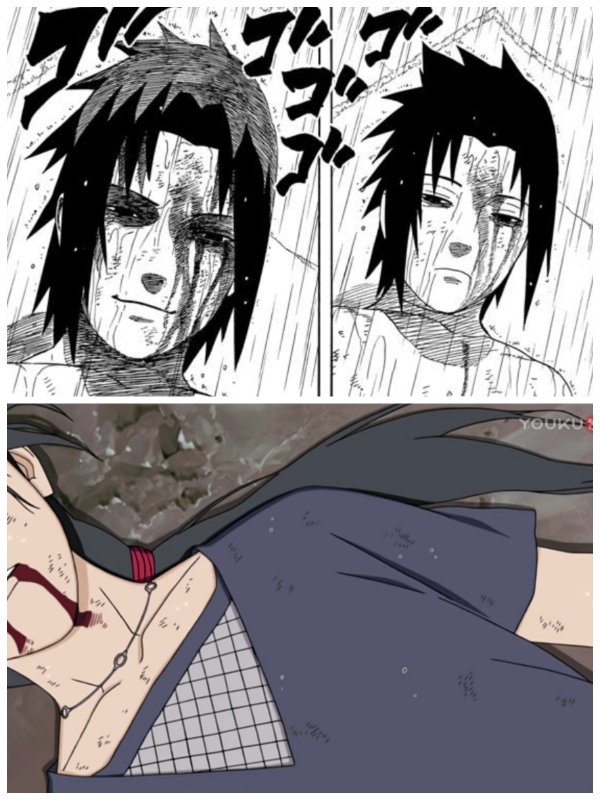 佐助主要出现在哪部动漫,佐助是什么位置