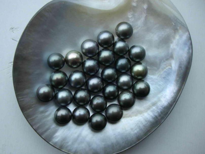 珍珠里面最好的品种是哪一种,轻奢珍珠品种大全