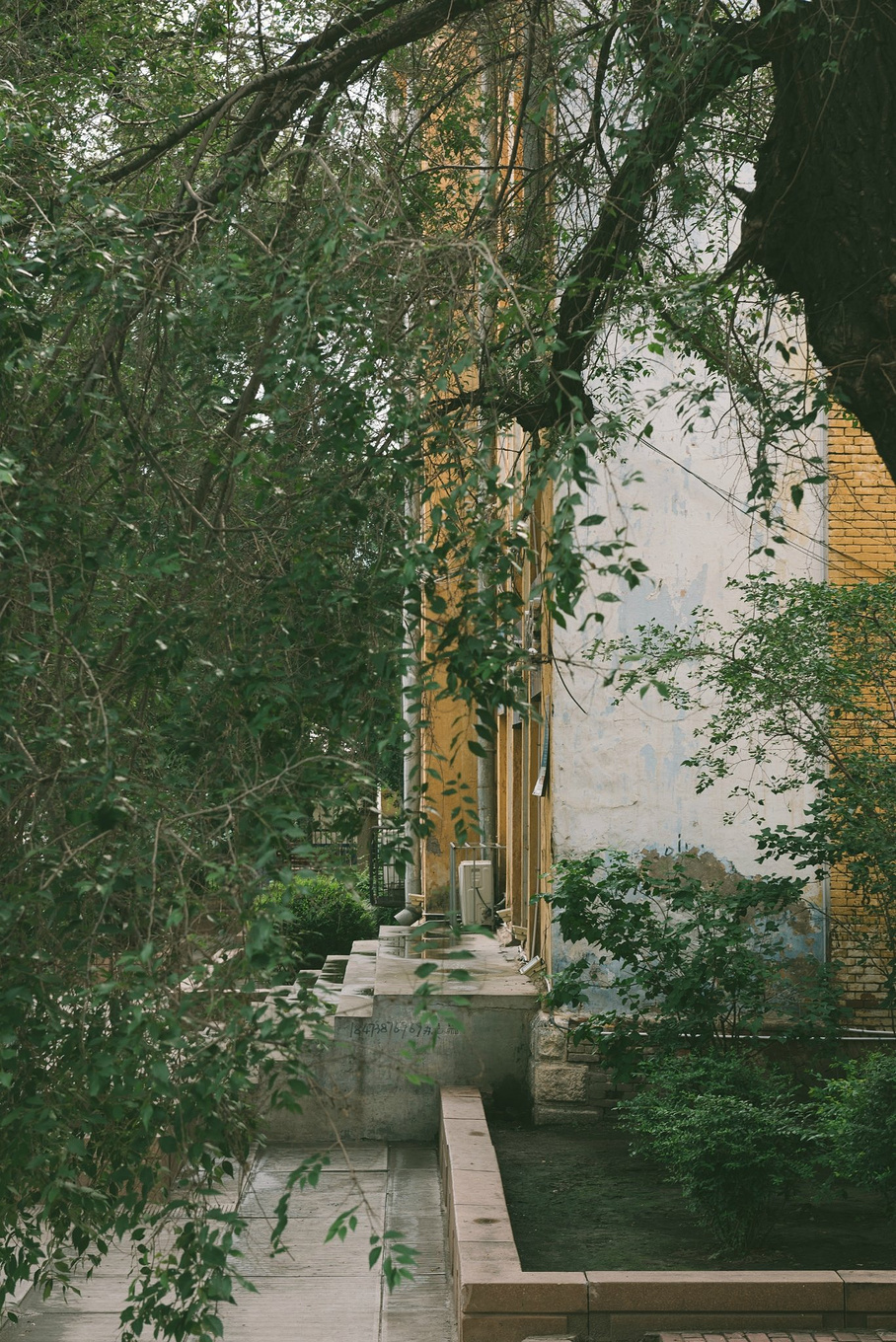 哈尔滨老城区在哪,哈尔滨卫星城