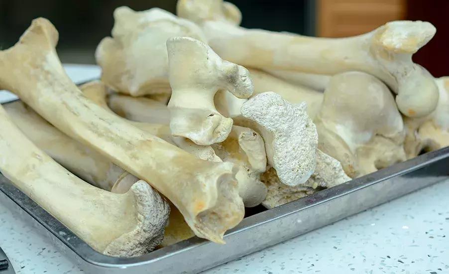 松潘牛肉哪里有卖,松潘县草原新鲜牦牛肉店