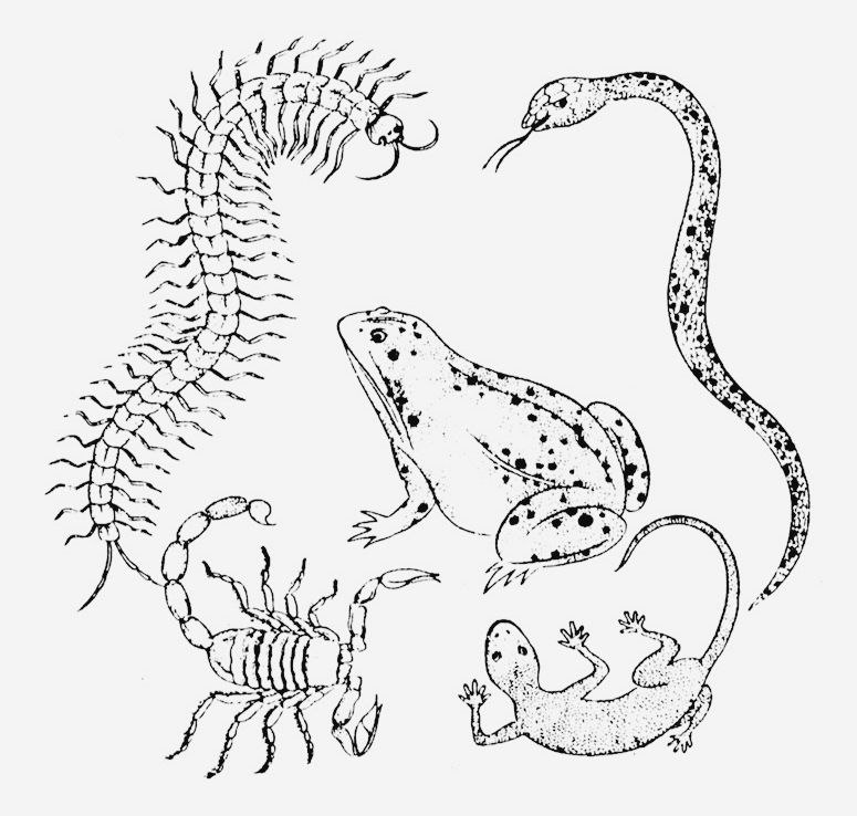 五月需要注意什么事项,五月有什么重要的事情