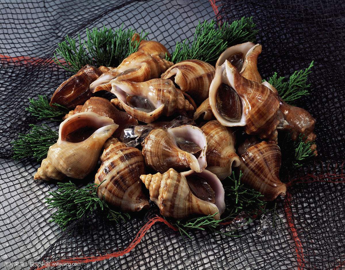 海螺煮几分钟最好吃,海螺怎么煮才是正确方法