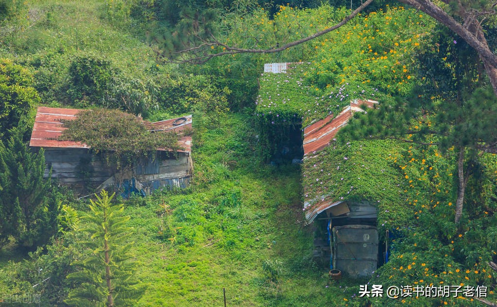 向往田园生活的人说明什么,向往田园生活的句子