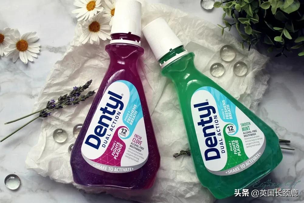 牙齿卫生用品,牙齿清洁工具排行榜